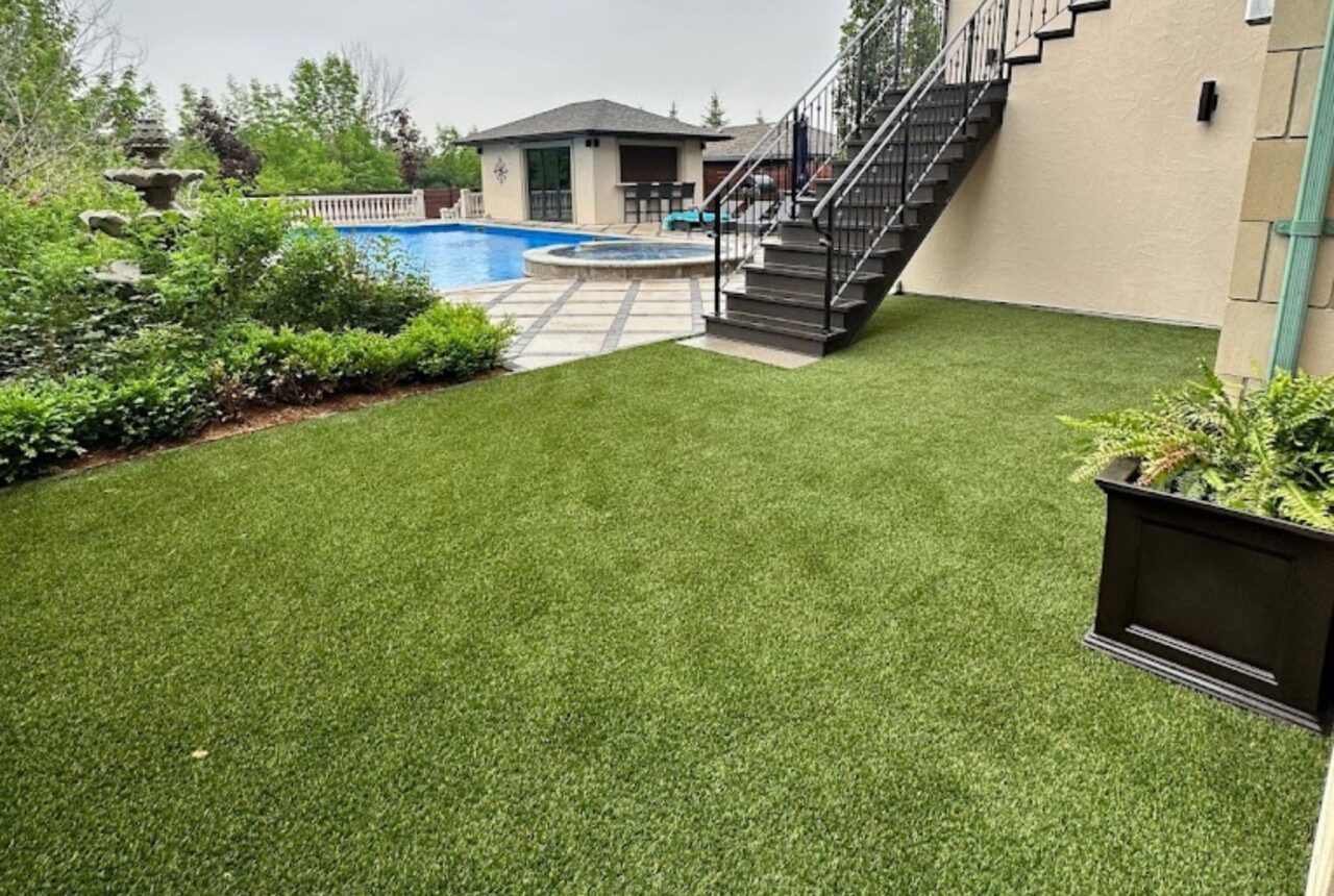 Pet-friendly backyard turf Brampton